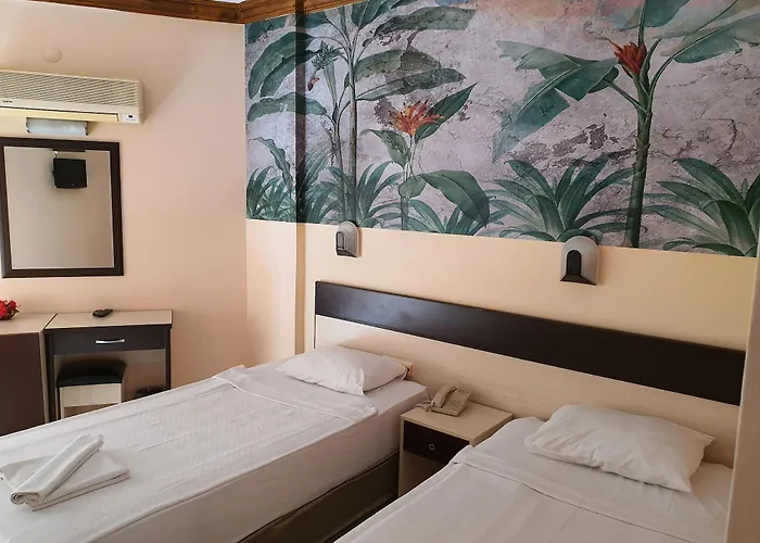 Quarto económico